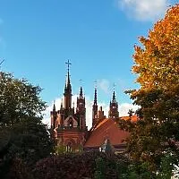 Atsiliepimą paliko Jonas K apie Foto Bitės