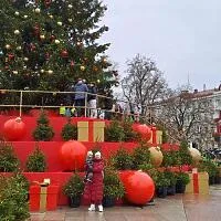 Atsiliepimą paliko Žibutė Daukšienė apie Foto Bitės